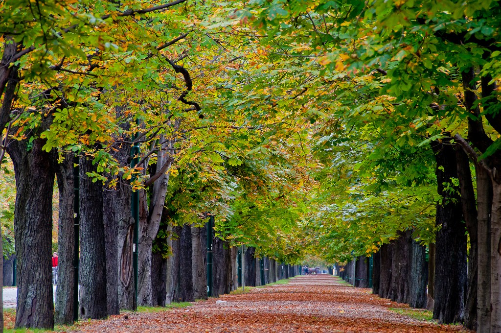 Prater Park (c) Clarence via Flickr