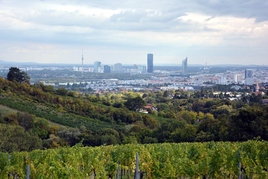 vienna-vineyard-view_940x626