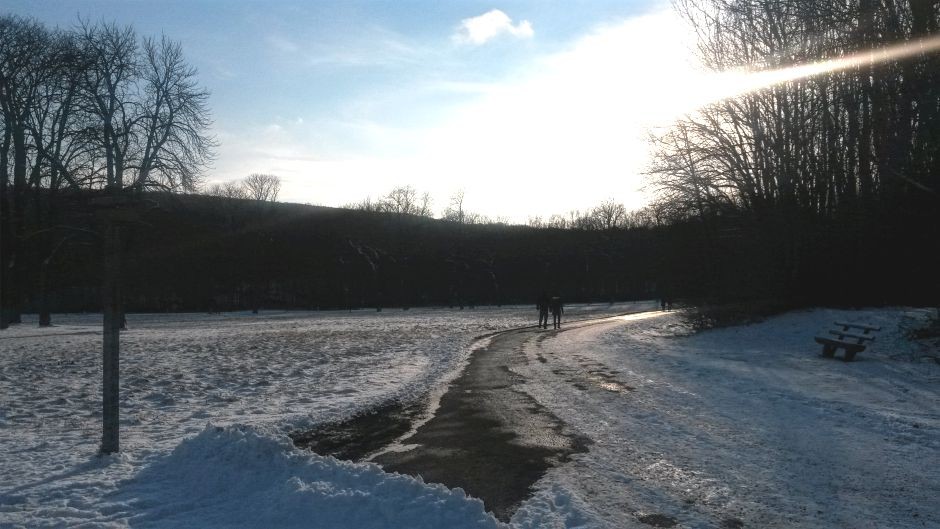 Winterspaziergang-Walk-Winterwonderland-Lainzer-Tiergarten_940x527